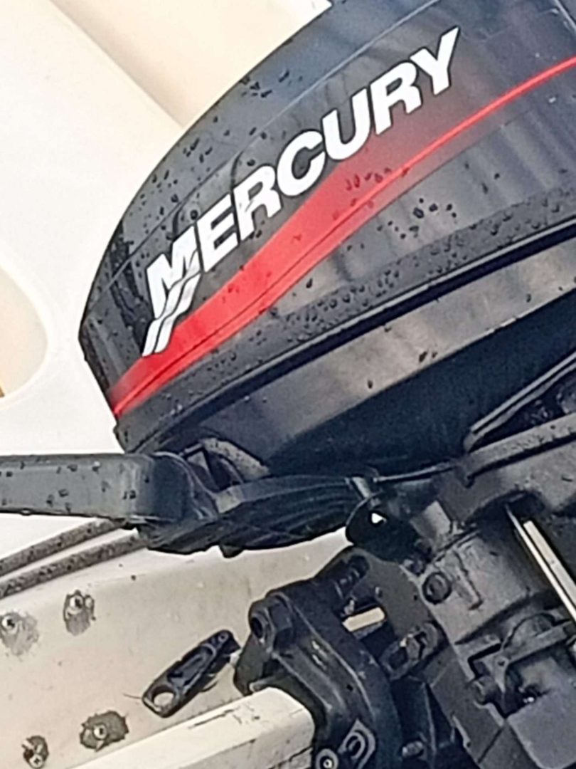 Mercury 10 pk 2 takt