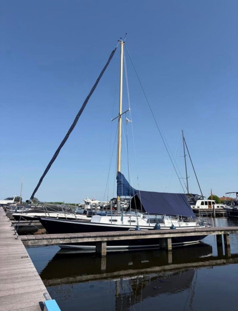 Complete mast met zeilen
