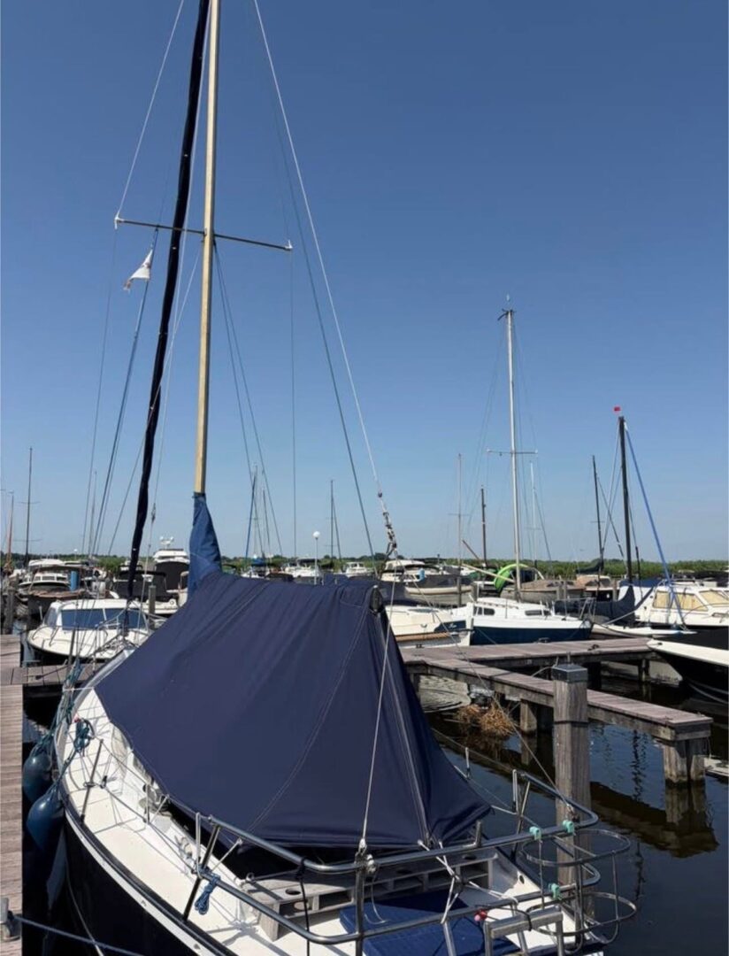 Complete mast met zeilen